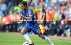 开云官网-里尔客场失利，法甲争冠形势不妙，里尔夺得法甲冠军