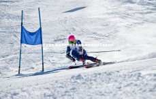 开云官网-美因茨绝地反击终避险 德甲保级战上演胜利大逃亡